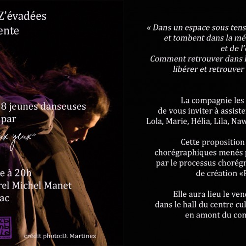 Performance dansée